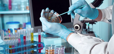 رشته میکروبیولوژی