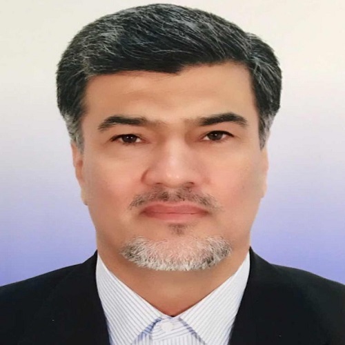 رزومه استاد - دکتر محمدحسین عمادی