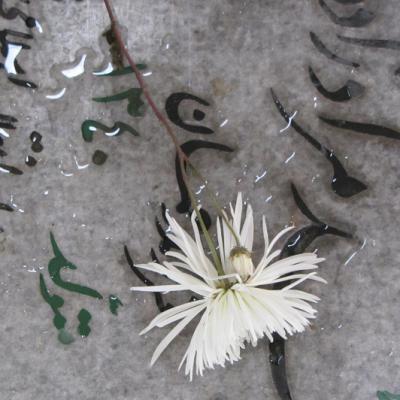 تصاویری از زیارت و غبار روبی گلزار شهدا در هفته بسیج