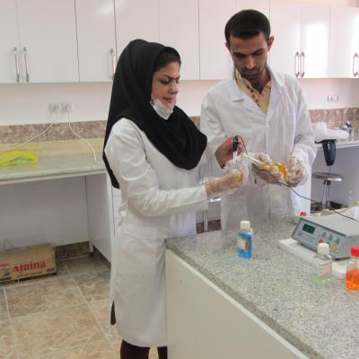 تصاویری از حضور دانشجویان در آزمایشگاه های صنایع شیمیای و غذایی